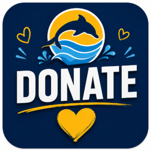 Contribute to the PTA 26-27